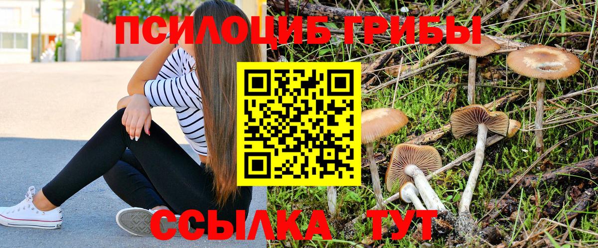 Галлюциногенные грибы Magic Shrooms Зеленодольск