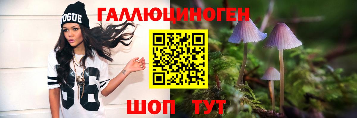Зеленодольск  Псилоцибиновые грибы ЛСД  Вход с VPN 